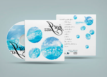 流行CD盒封套设计