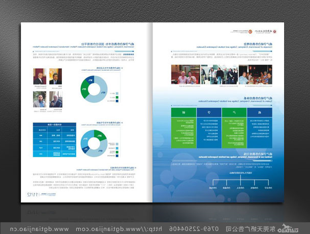 2020年东莞国际学校宣传册设计案例欣赏