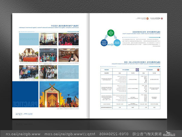 2020年东莞国际学校宣传册设计案例欣赏