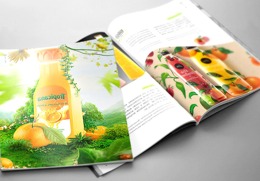 食品行业画册设计原理，食品宣传画册设计怎样吸引更多的客户？