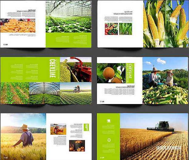 农产品公司宣传册设计方案怎么写？种植公司宣传册设计方法！