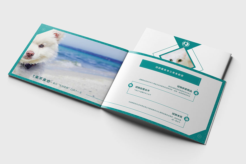 宠物服务画册设计_宠物手册设计制作