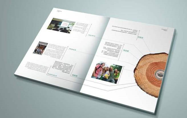 青岛宣传册设计公司_品牌画册设计介绍天娇20年官网