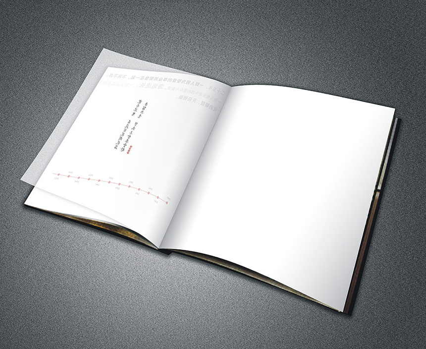 品牌企业宣传画册设计_带来新的高度和商机
