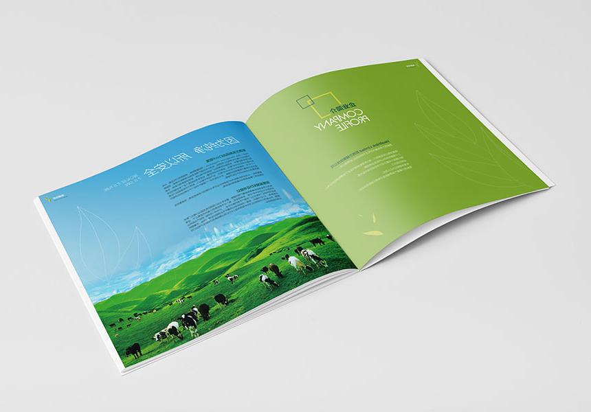 湛江画册设计公司_提供企业品牌宣传册设计